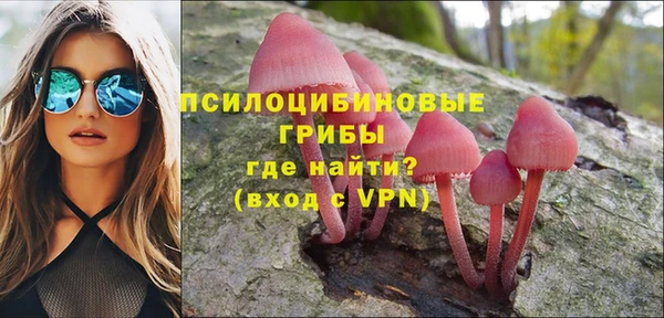 прущая мука Магадан