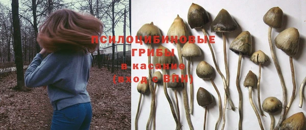 спиды Медногорск