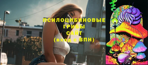 спиды Медногорск