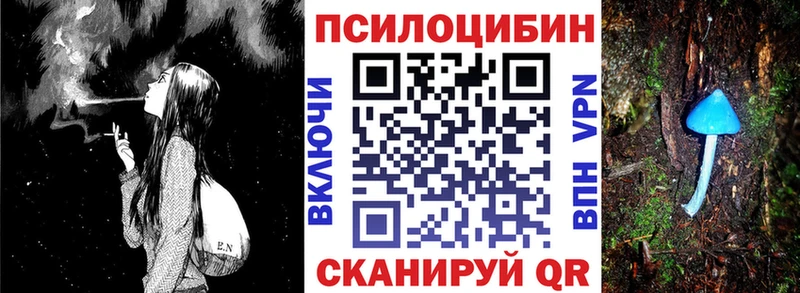 Псилоцибиновые грибы Psilocybine cubensis  Новоульяновск 